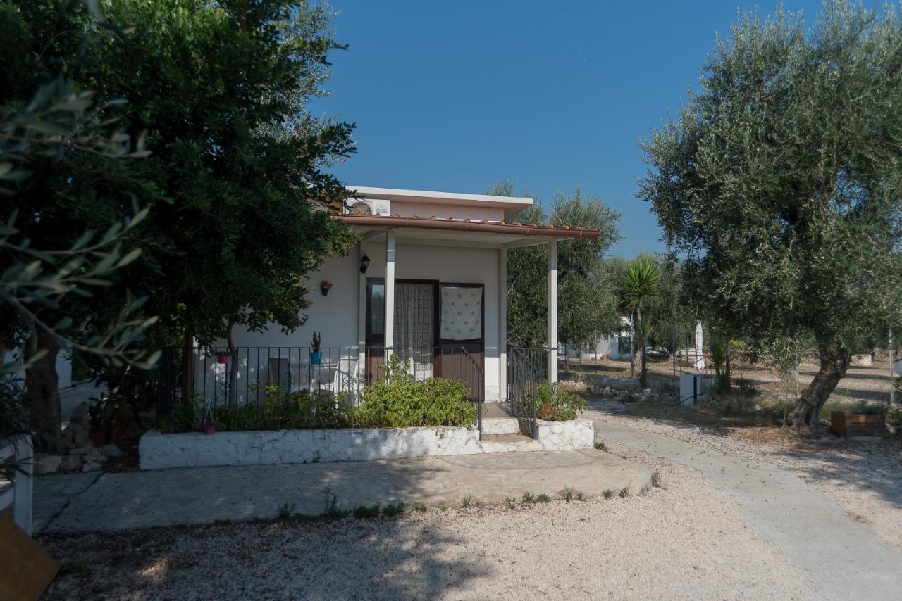 Appartamenti Sul Mare Da Antonino Mattinata Exterior foto